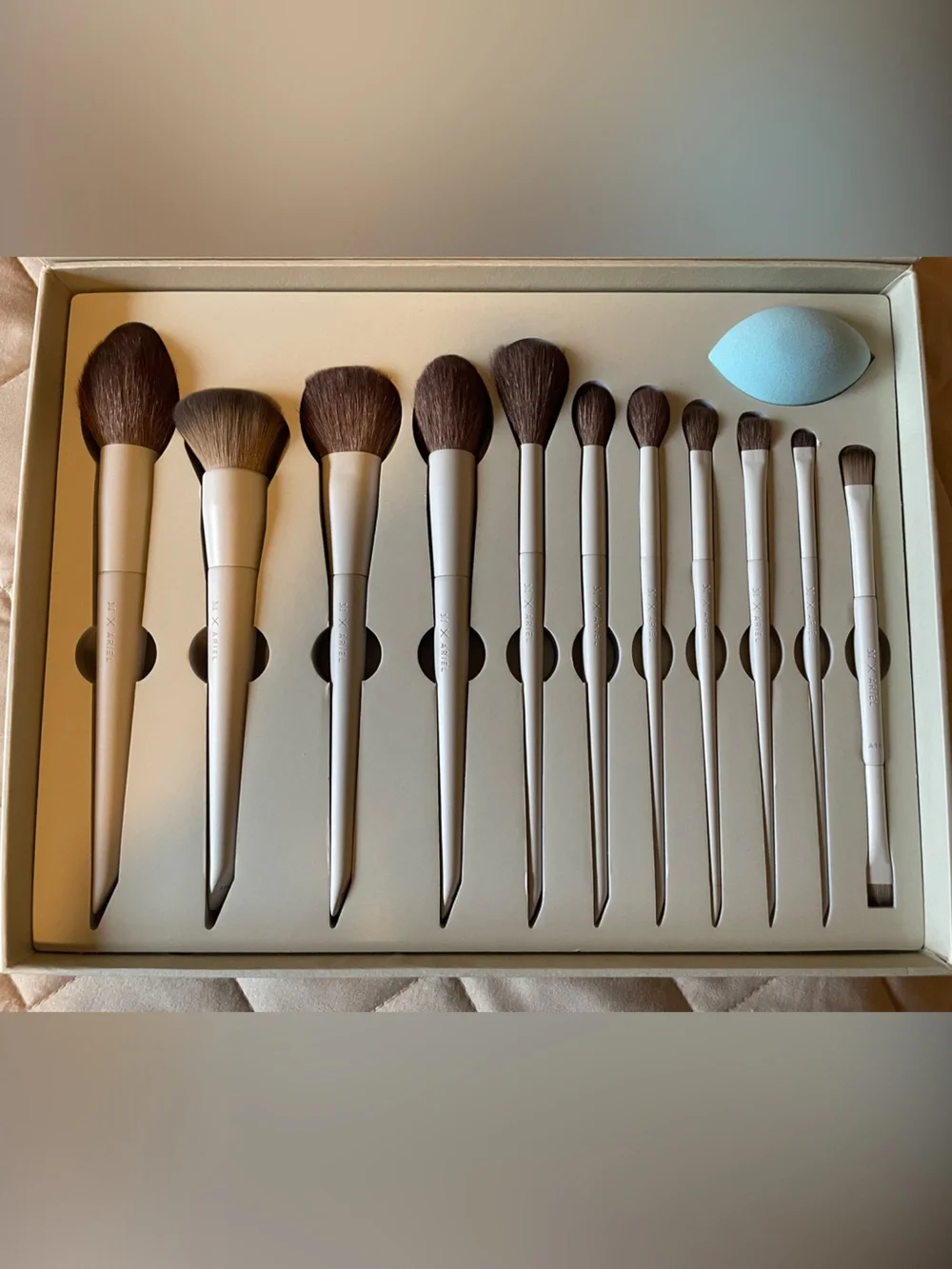 Morphe X Ariel Signature 12 piece Face & Eye Brush Set